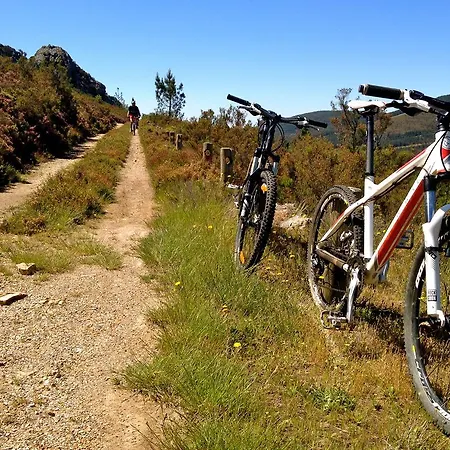 キャンプ場 Camping