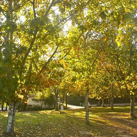 Campingplads Camping *