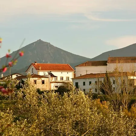 キャンプ場 Camping *