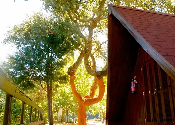 Kamp alanı Camping Góis