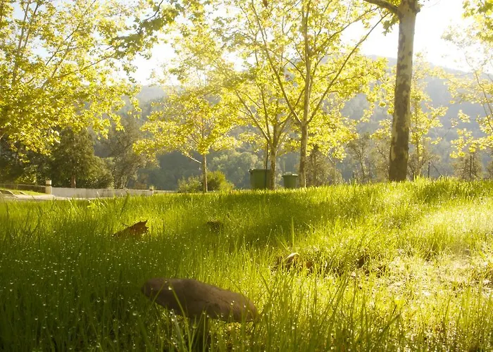 Camping Camping Góis