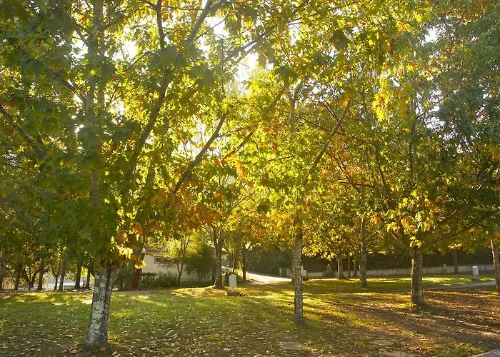Kamp alanı Camping *